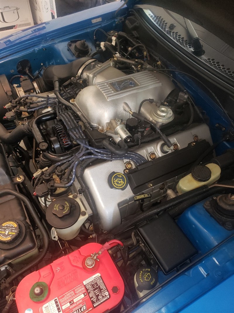 1998 Ford Mustang Cobra 5
