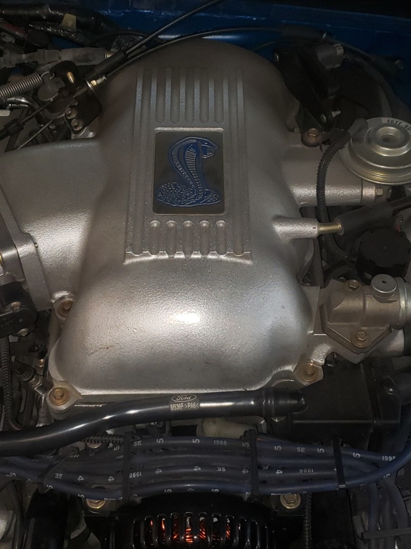 1998 Ford Mustang Cobra 9